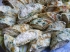 Рулет с творожной начинкой