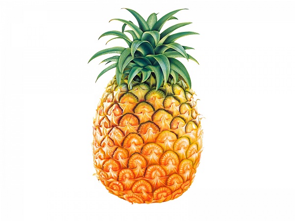 ananas.jpg ananas.jpg