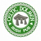  Открытие нового ирландского паба «The Celtic Dolmen» в Новосибирске