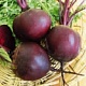 Свекла - допинг бегуенов
